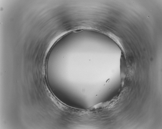 X0000087361148200705041849