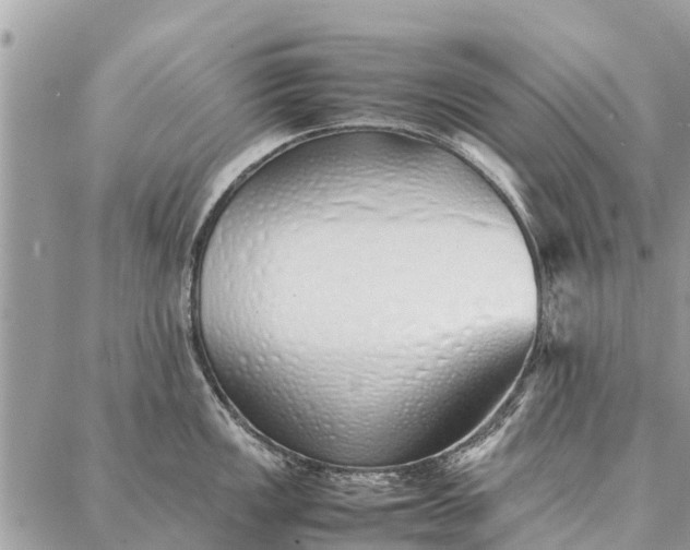 X0000087361149200705041849