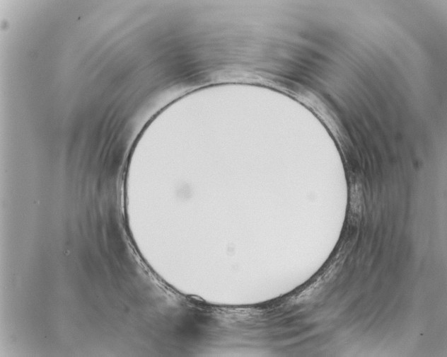 X0000087361150200705041849