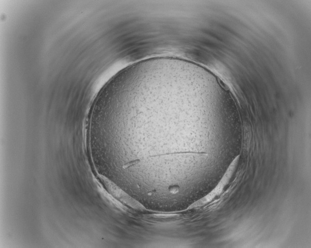 X0000087361151200705041849