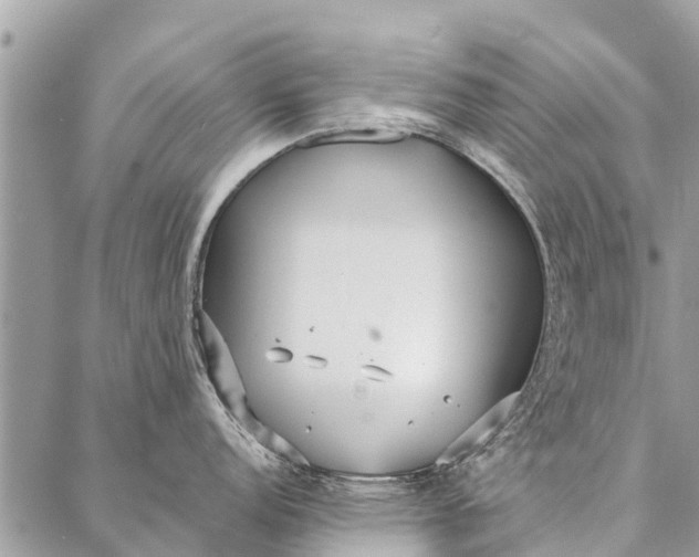 X0000087361152200705041849