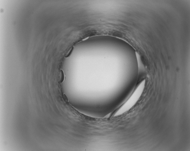 X0000087361153200705041848