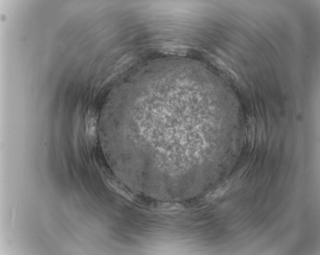 X0000087361154200705041848