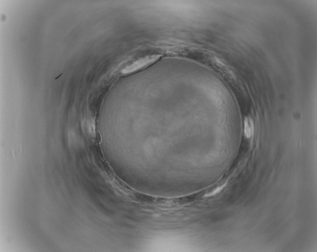 X0000087361155200705041848