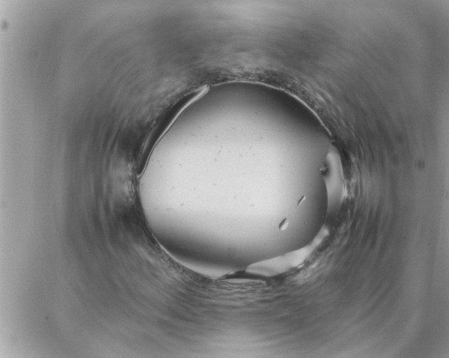 X0000087361156200705041848