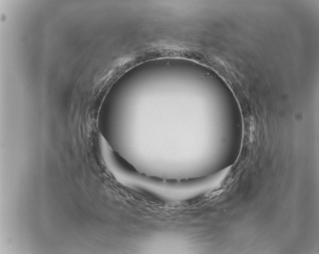 X0000087361157200705041848