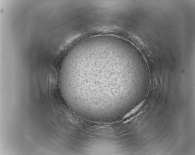 X0000087361158200705041848