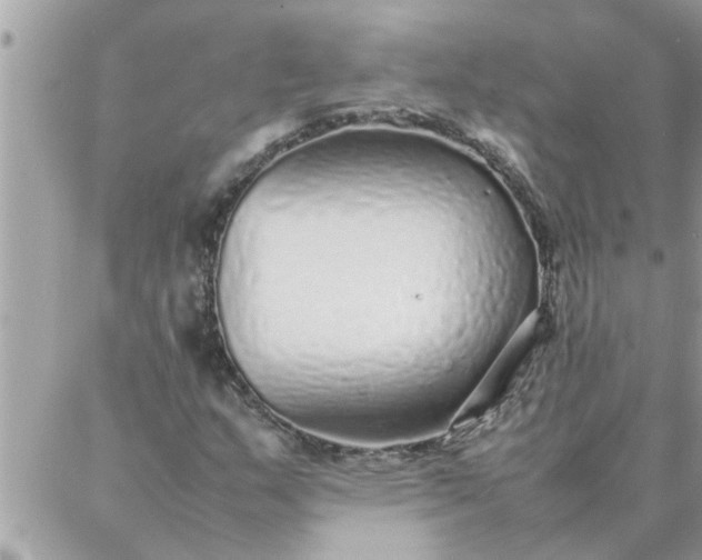 X0000087361159200705041848