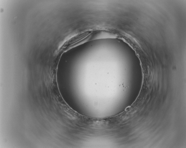 X0000087361160200705041848