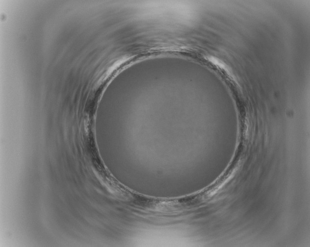 X0000087361161200705041848