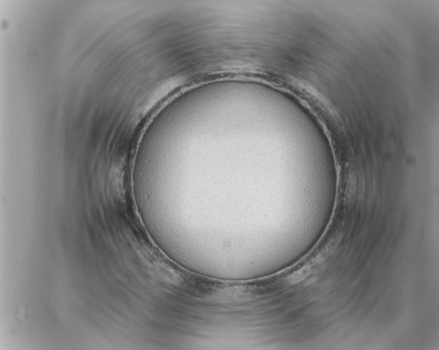 X0000087361162200705041848