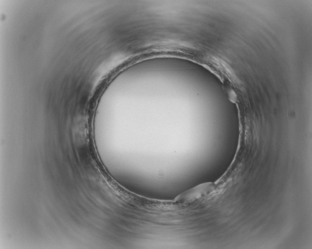 X0000087361164200705041848