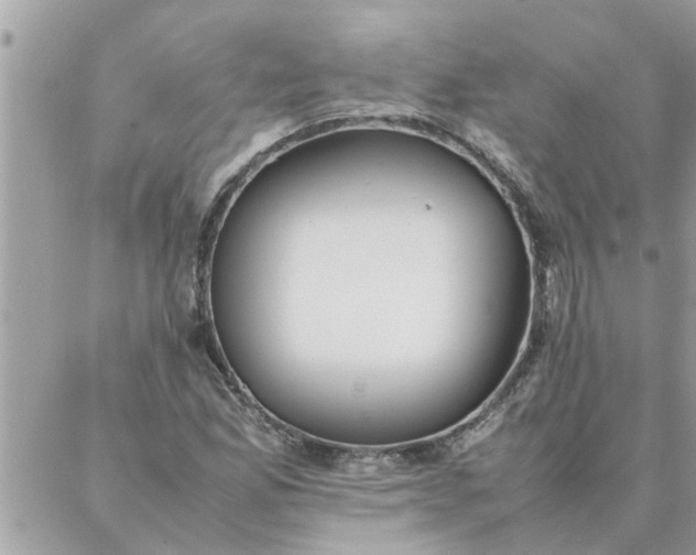 X0000087361165200705041848