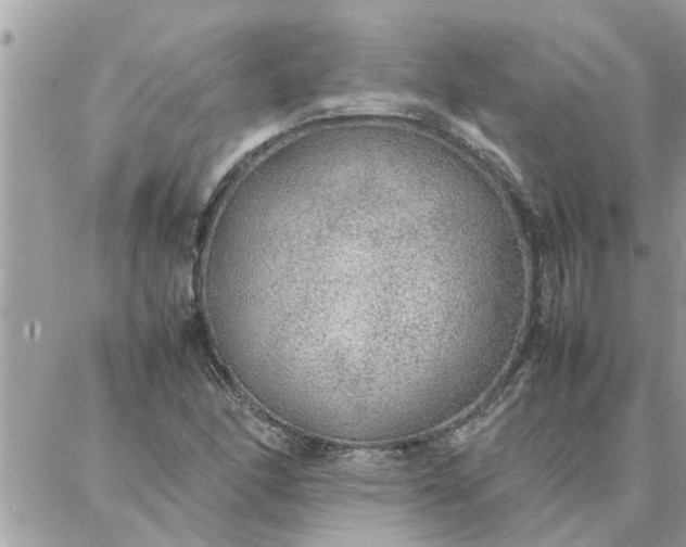 X0000087361166200705041848