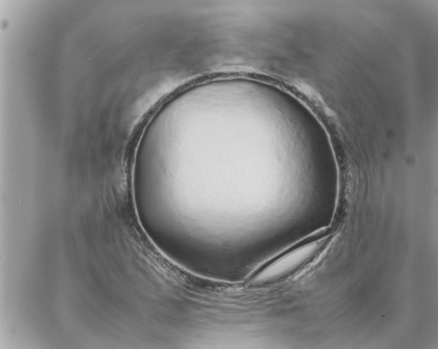 X0000087361167200705041848