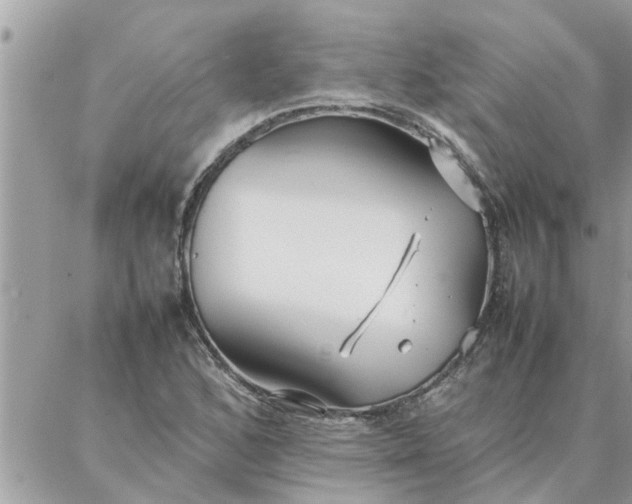 X0000087361168200705041848