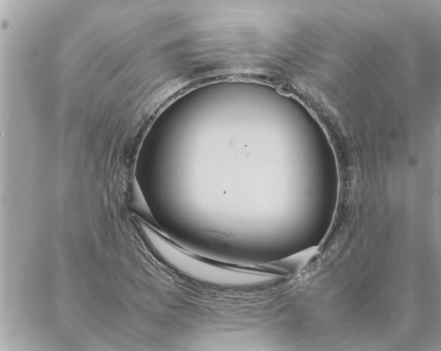 X0000087361169200705041848