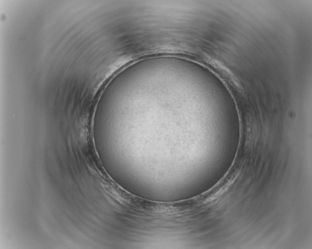 X0000087361170200705041848