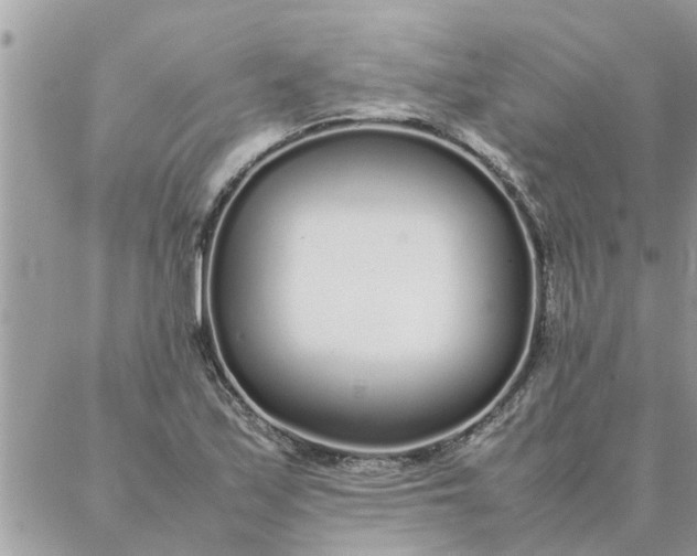 X0000087361171200705041848