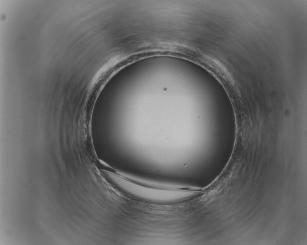 X0000087361172200705041848