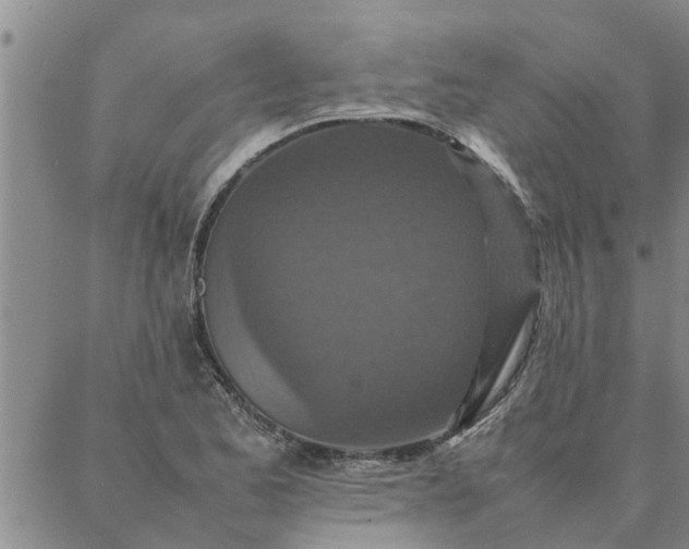 X0000087361173200705041848