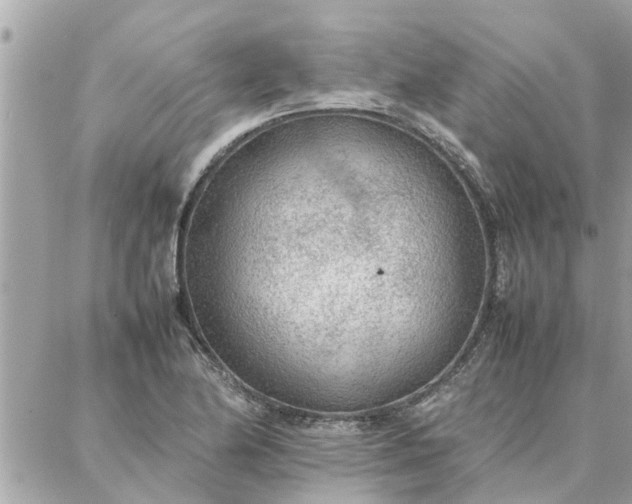 X0000087361174200705041848