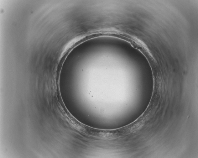 X0000087361176200705041848