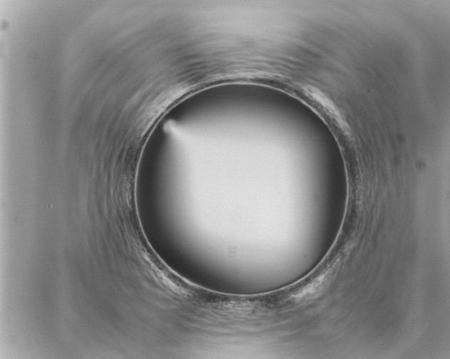 X0000087361177200705041848