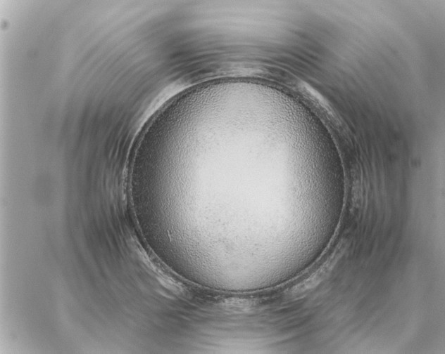 X0000087361178200705041848