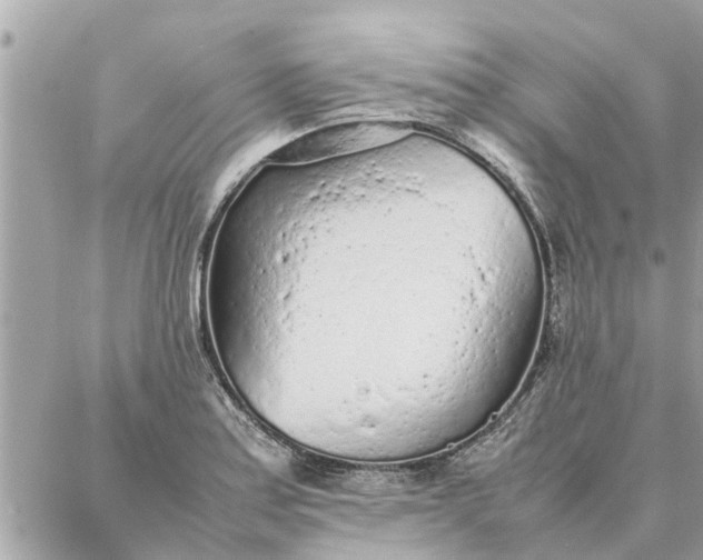 X0000087361179200705041848