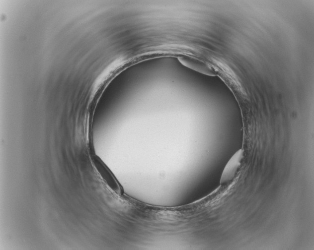 X0000087361180200705041847