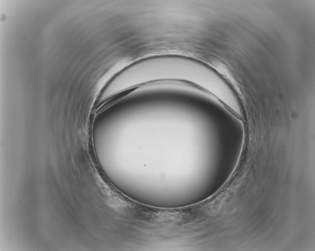 X0000087361181200705041847