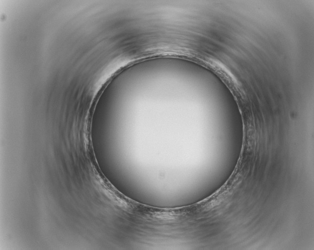 X0000087361182200705041847