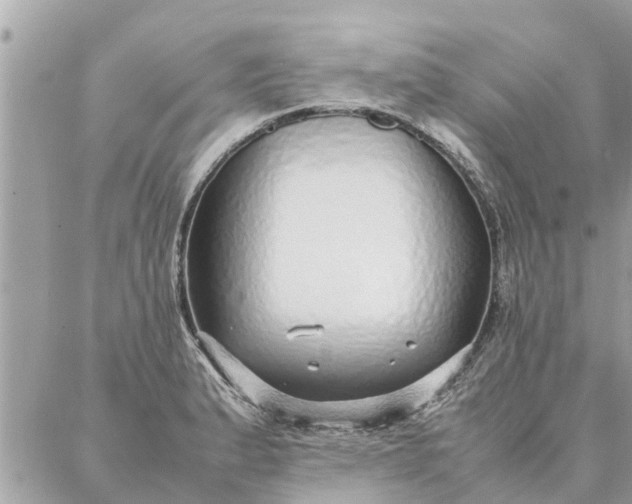 X0000087361183200705041847