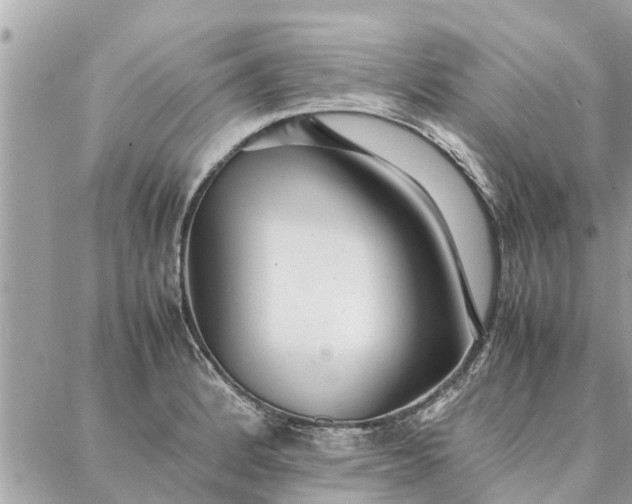 X0000087361184200705041847