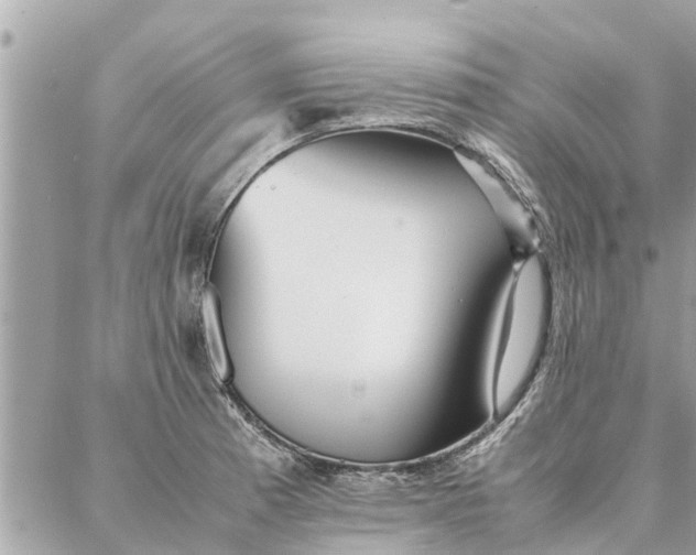 X0000087361185200705041847