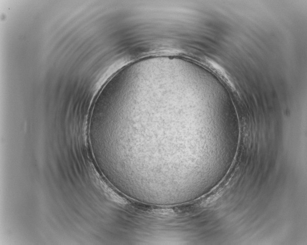 X0000087361186200705041847