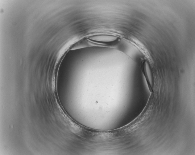 X0000087361188200705041847