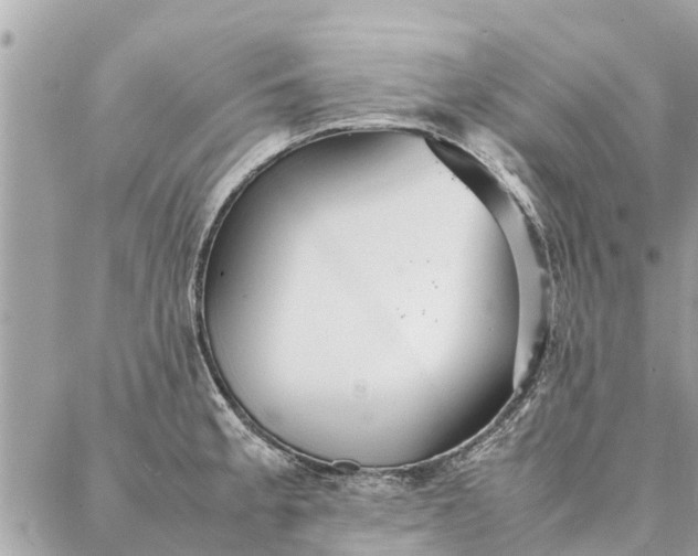 X0000087361189200705041847