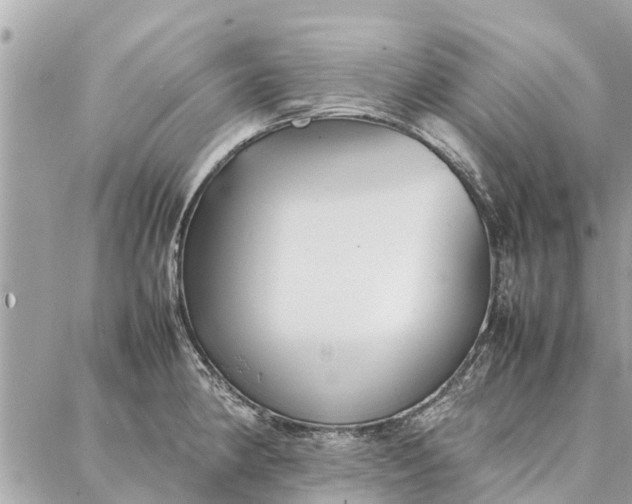 X0000087361190200705041847