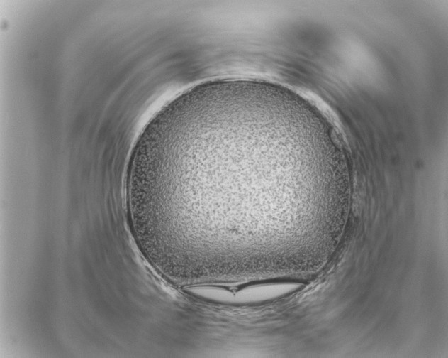 X0000087361191200705041847