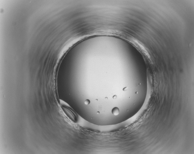 X0000087361192200705041847