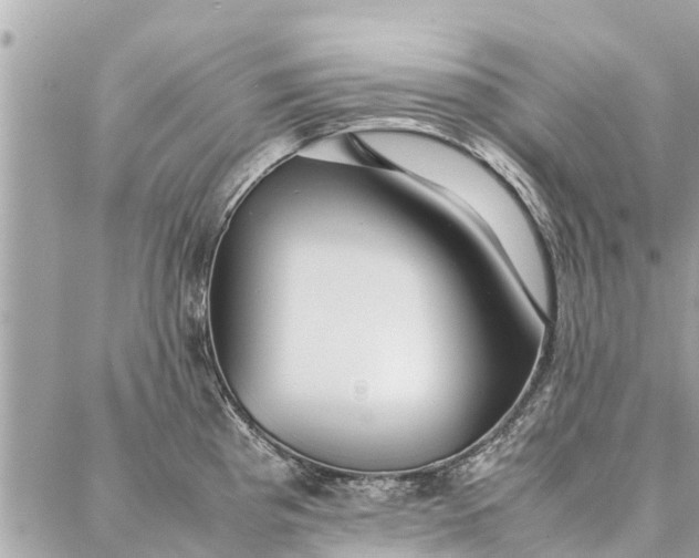 X0000087361193200705041847