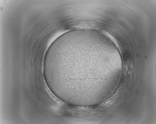 X0000087361195200705041847