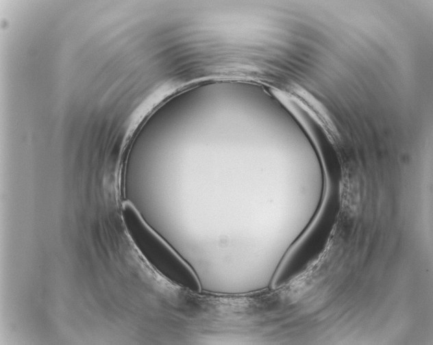 X0000087361196200705041847