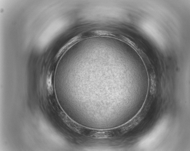 X0000087361198200705041847