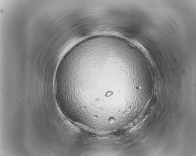 X0000087361199200705041847