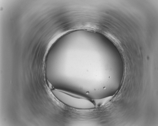 X0000087361200200705041847