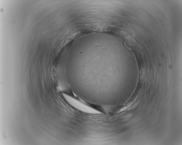 X0000087361202200705041846