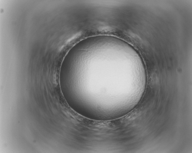 X0000087361205200705041846